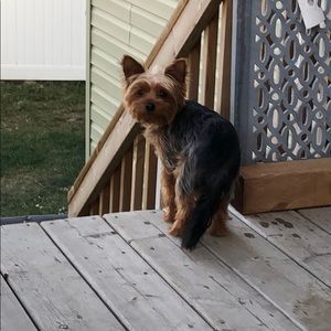 Meet your Posher, April